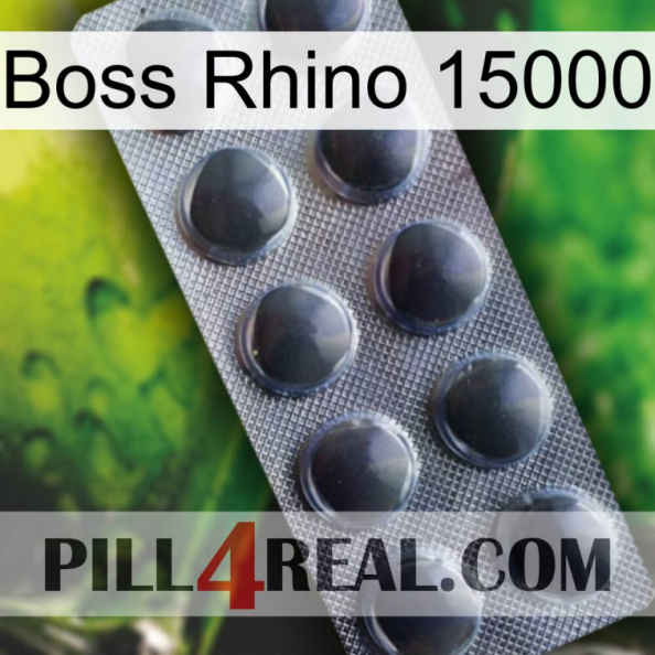 Boss Rhino 15000 30.jpg